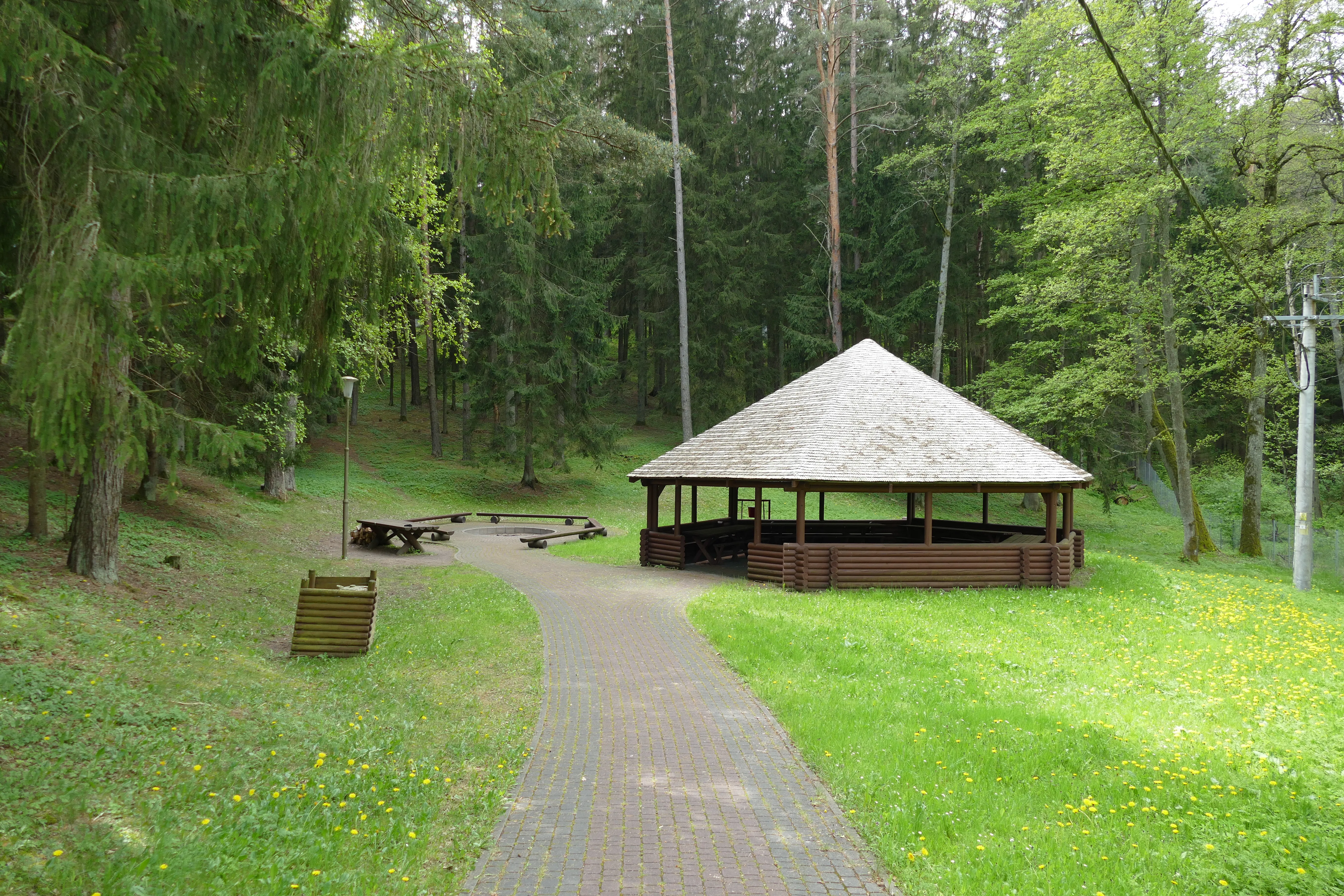 Miejsce na ognisko z wiatą